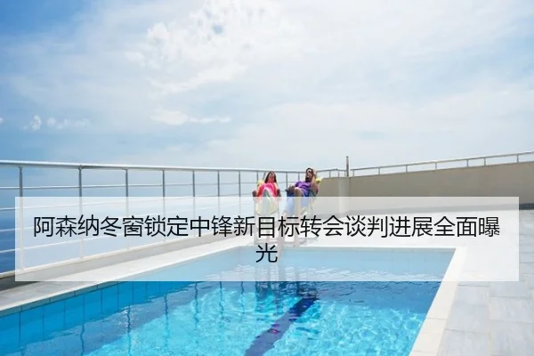 阿森纳冬窗锁定中锋新目标转会谈判进展全面曝光